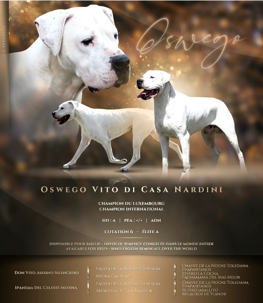 De La Notte Di Cane - COTATION 6 : Multi Champion Oswego Vito di Casa Nardini 