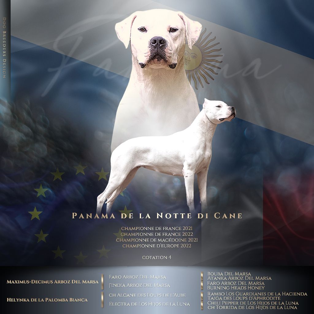 CH. Panama De La Notte Di Cane