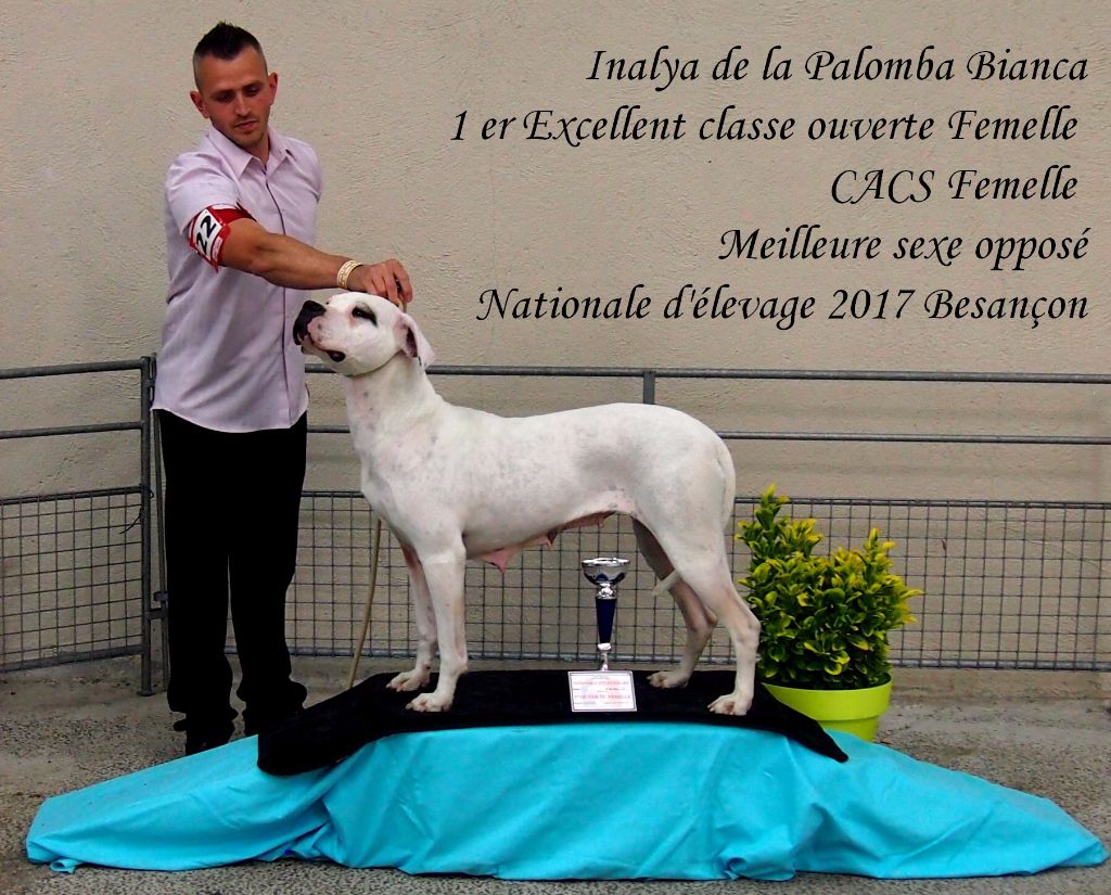 De La Notte Di Cane - Nationale d'élevage Besançon 2017