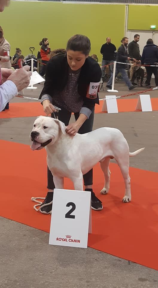 De La Notte Di Cane - Exposition Troyes : 2 février 2019
