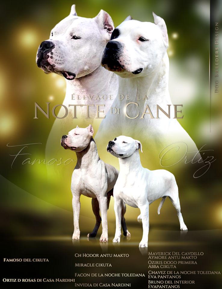 De La Notte Di Cane - Future Naissance