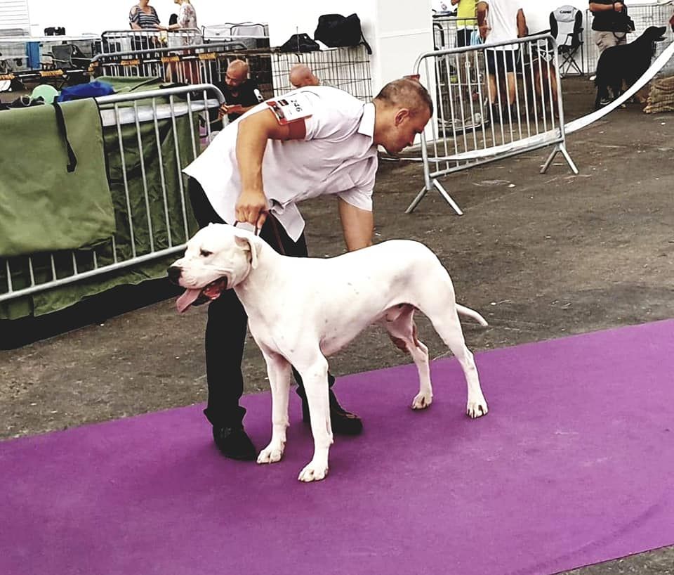 De La Notte Di Cane - CACIB de Dijon