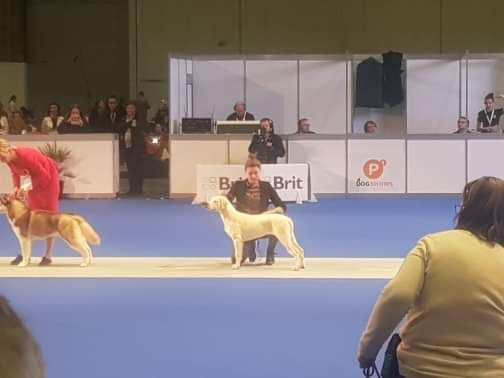 De La Notte Di Cane - Genève 2019