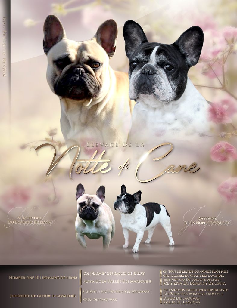 De La Notte Di Cane - Naissance 30 avril ! 