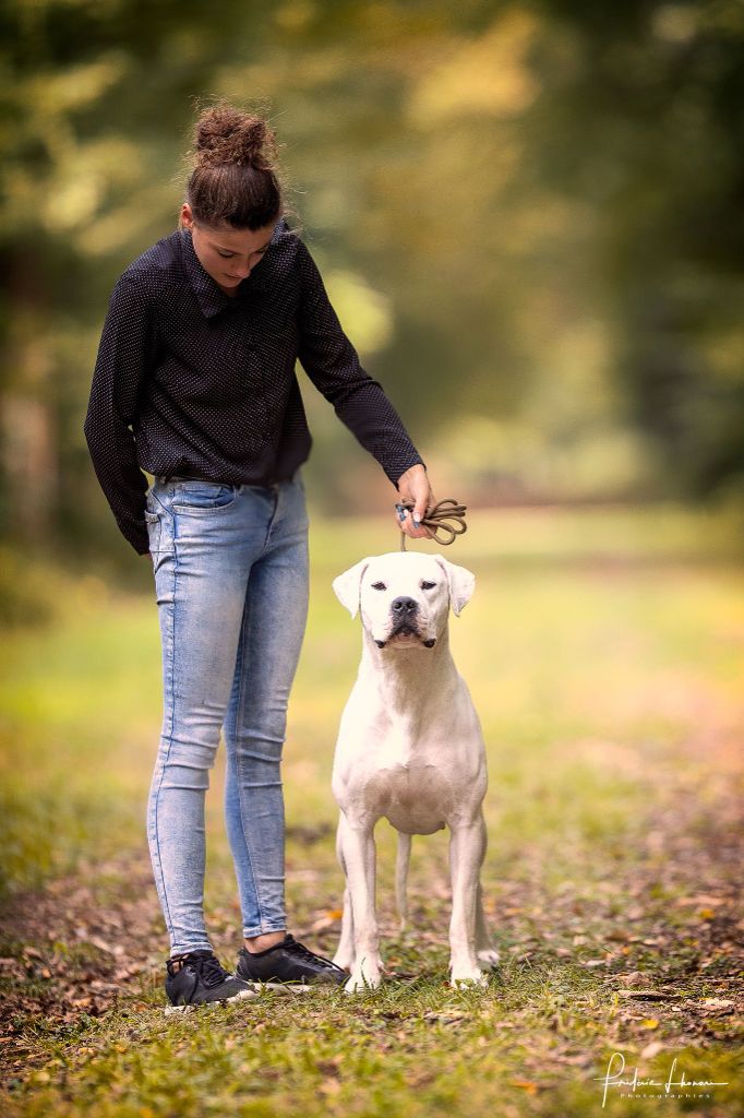 De La Notte Di Cane - Dijon 2020