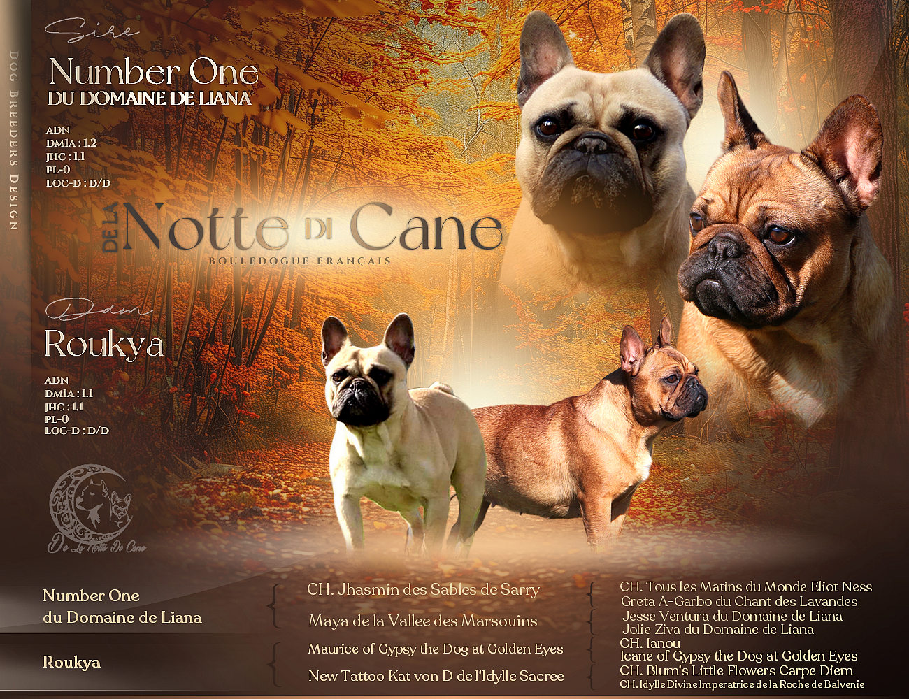 De La Notte Di Cane - Bouledogue français - Portée née le 09/11/2025