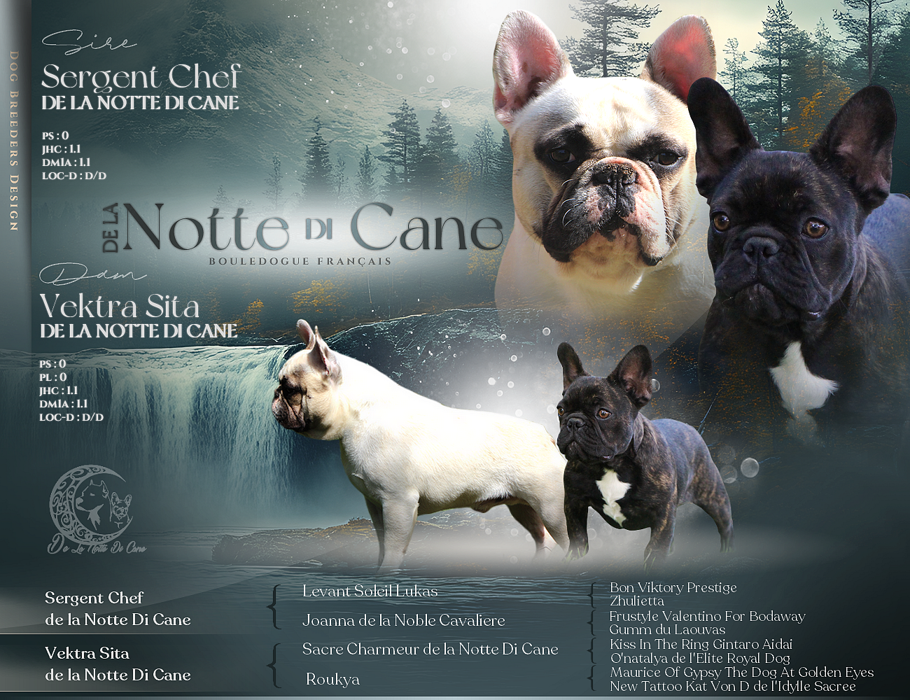 De La Notte Di Cane - Bouledogue français - Portée née le 03/12/2025