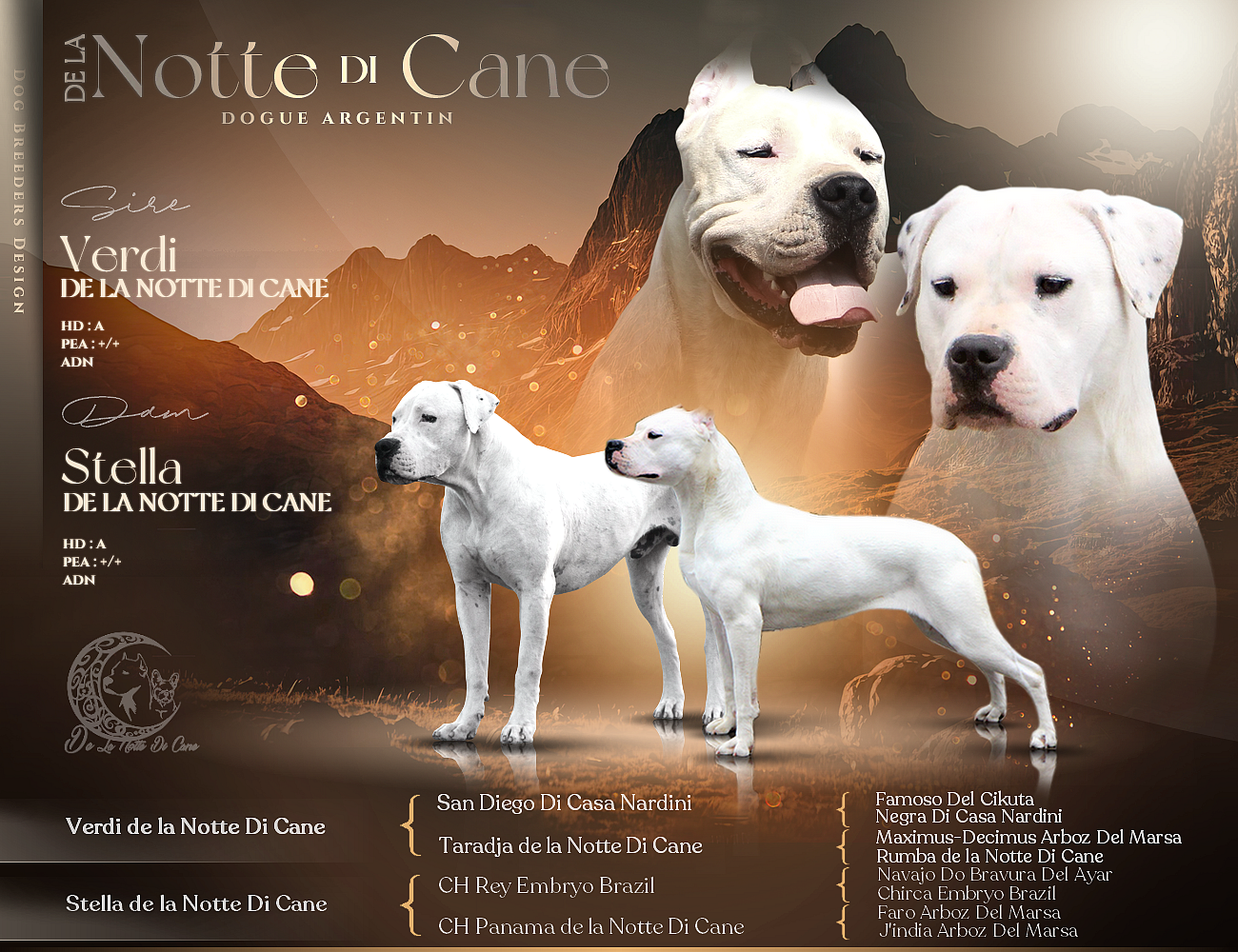De La Notte Di Cane - Dogo Argentino - Portée née le 02/01/2026