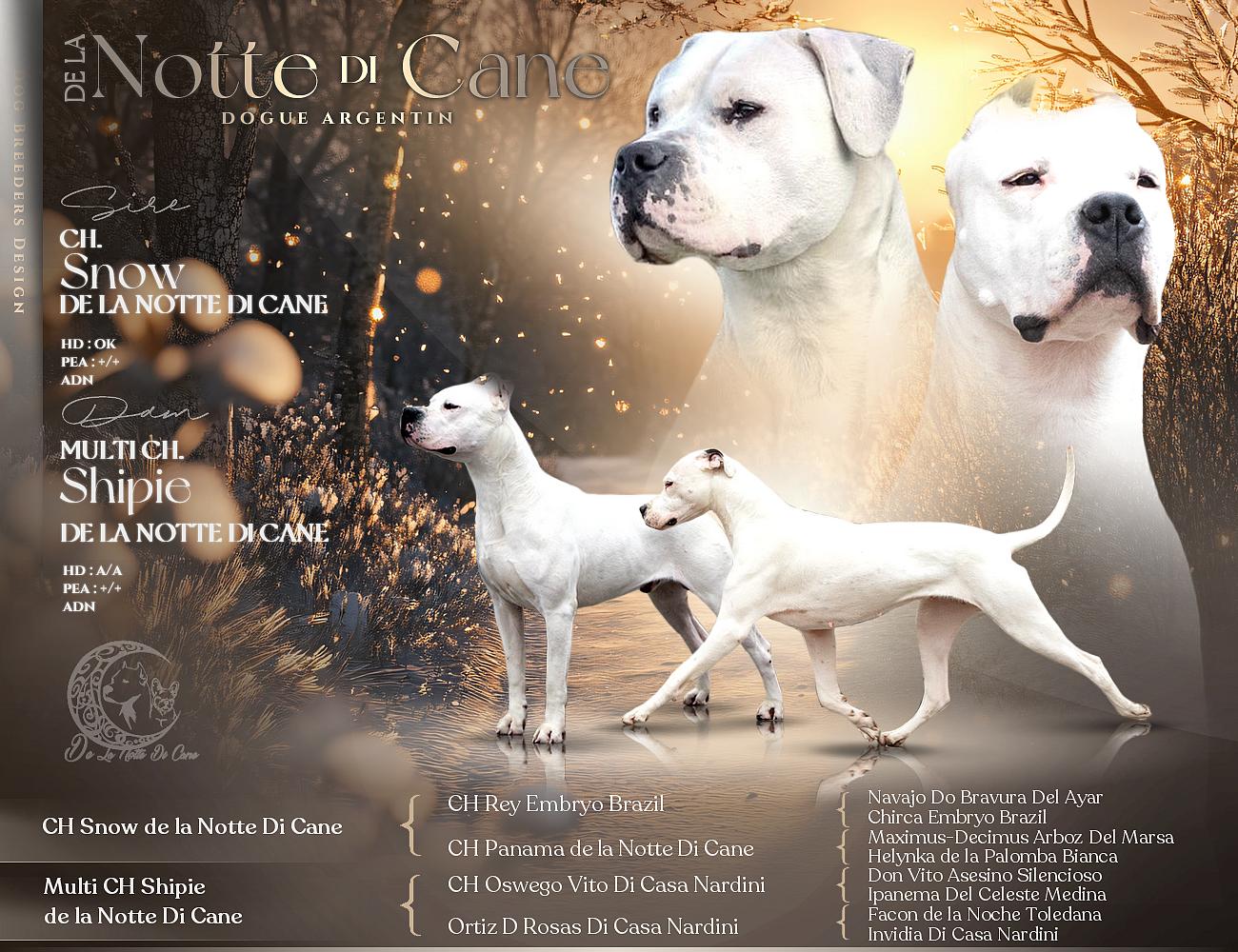 De La Notte Di Cane - Dogo Argentino - Portée née le 09/01/2026