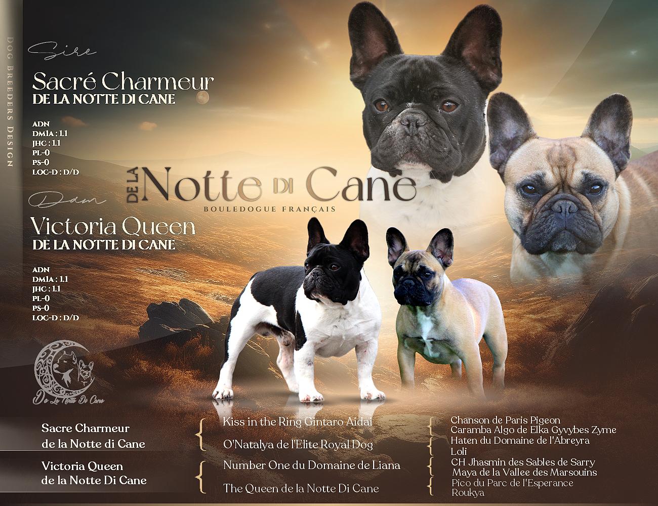 Chiot Bouledogue français De La Notte Di Cane