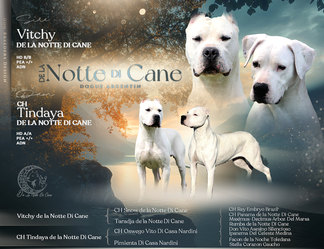 Chiot Dogo Argentino De La Notte Di Cane